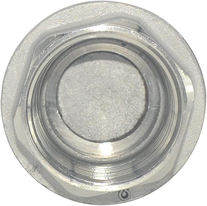 NPT Female WOG1000 Check Valve,Vertical Check Valve,NPT Spring Loaded in-line Low Cracking Pressure,Stainless Steel SS316 CF8M (1")
