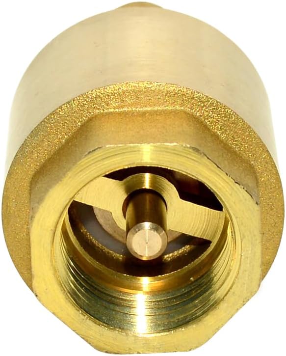 DAN SPEED Brass Check Valve,Female Thread Spring Check Valve,One Way Horizontal Check Valves for Backflow Prevention,Well, Pump, Tank ((DN15) 1/2'')