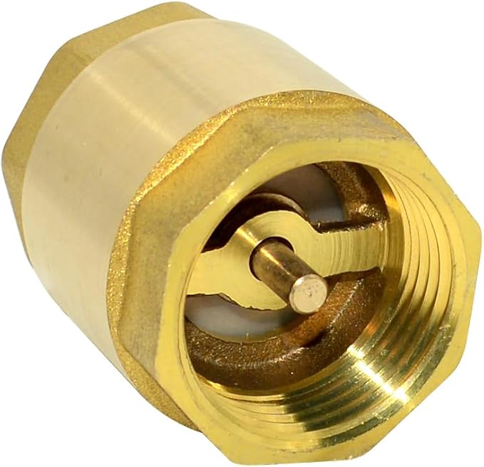 DAN SPEED Brass Check Valve,Female Thread Spring Check Valve,One Way Horizontal Check Valves for Backflow Prevention,Well, Pump, Tank ((DN25) 1'')