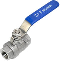 316 Stainless Steel 1/8"~3" Full Port Ball Valve with Blue Vinyl Handle, NPT Female x Female Thread,1000 WOG (3/8")