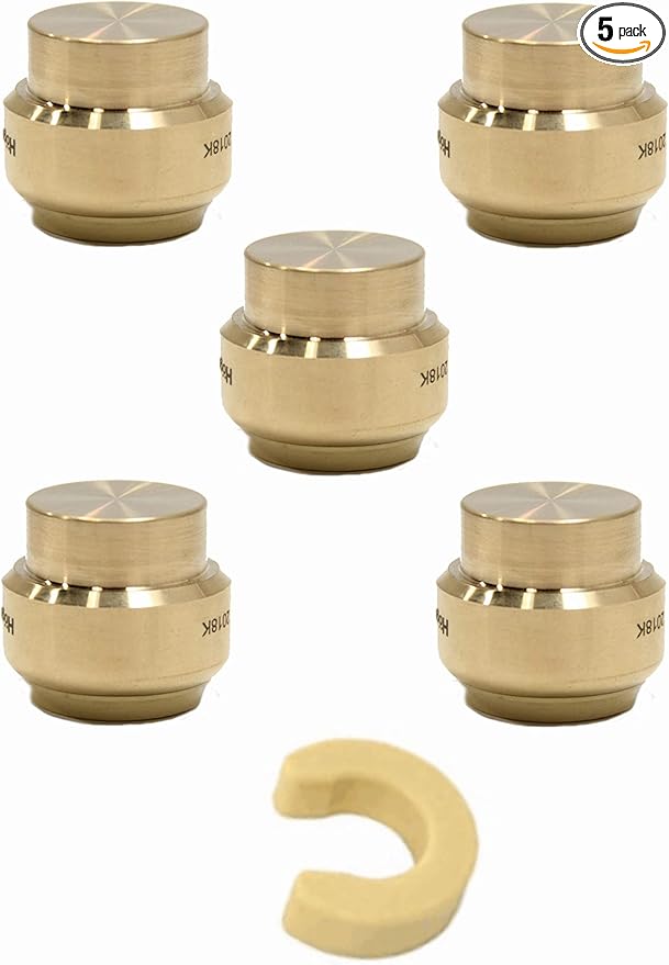 (Pack of 5) EFIELD 1 Inch Plug End Cap Push-Fit Fitting to Connect Pex, Copper, CPVC With Disconnect Clip,(PF101-5PCS)