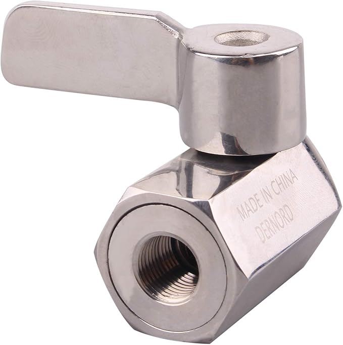 DERNORD 1/8 Inch Stainless Steel Mini Ball Valve NPT FxM Thread with Stainless Handle(Pack of 2)