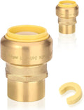 20-Pack HeSun Pushfit Female Adapter, 3/4" FNPT x 1" Push to Connect Plumbing Fittings with Disconnect Clip, Brass Push-fit Fittings for PEX, Copper, CPVC, PE-RT Pipes(PF195-20)