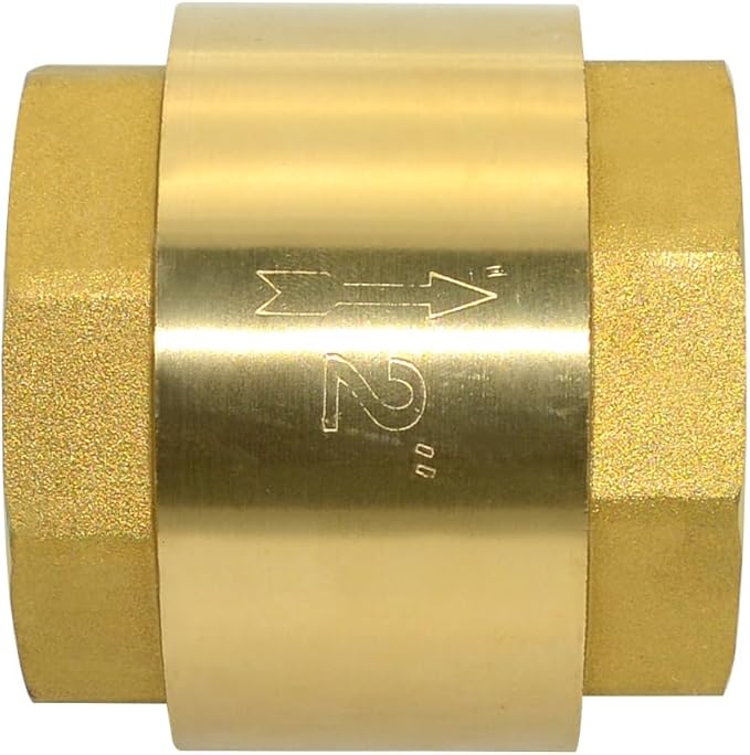 DAN SPEED Brass Check Valve,Female Thread Spring Check Valve,One Way Horizontal Check Valves for Backflow Prevention,Well, Pump, Tank ((DN50) 2'')
