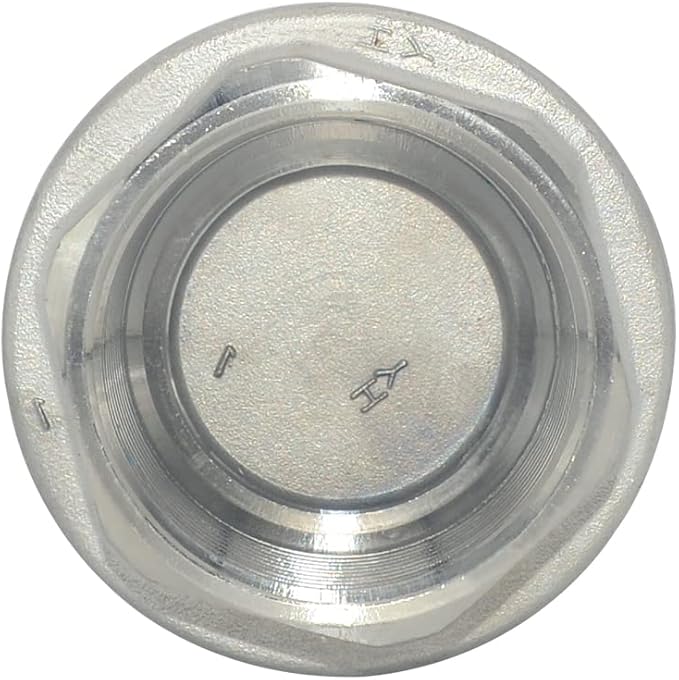 NPT Female WOG1000 Check Valve,Vertical Check Valve,NPT Spring Loaded in-line Low Cracking Pressure,Stainless Steel SS316 CF8M (1-1/2")
