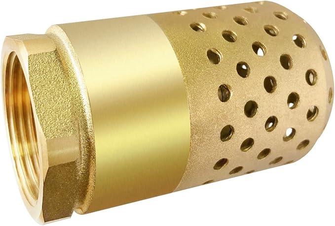 Brass Foot Valve 1-1/4 Inch NPT Heavy Duty Spring Mesh Check Valve Female Connection One Way Backflow Preventer With Holes Strainer Filter for Well Jet Pumps