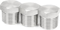 ChillWaves 304 Stainless Steel Pipe Fitting, Outer Hex Head Socket Pipe Plug Fitting，1" NPT Male，Thread Adapter(3-PACK)