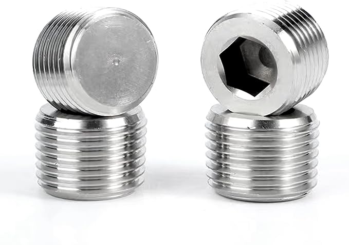 Stainless Steel 304 Hex Socket Plug, 1/4" NPT Male, Pack of 10