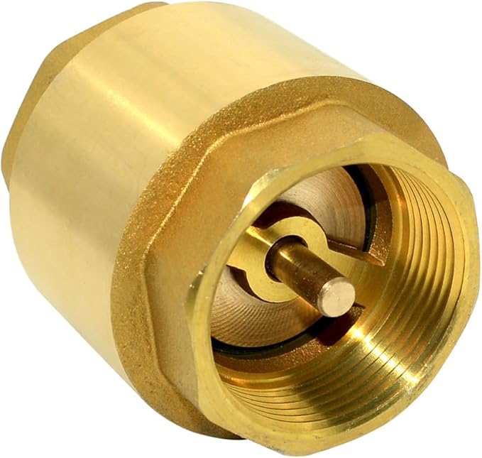 DAN SPEED Brass Check Valve,Female Thread Spring Check Valve,One Way Horizontal Check Valves for Backflow Prevention,Well, Pump, Tank ((DN40) 1-1/2'')
