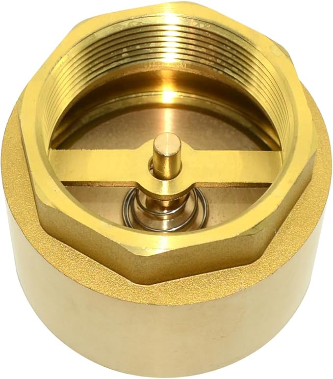 DAN SPEED Brass Check Valve,Female Thread Spring Check Valve,One Way Horizontal Check Valves for Backflow Prevention,Well, Pump, Tank ((DN50) 2'')