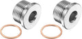 PATIKIL M27 x 2 Metric Pipe Plug Fitting, 304 Stainless Steel Internal Hex Head Socket Pipe Cap Adapter Connector with Copper Washer for Sealing Oil Gas Water