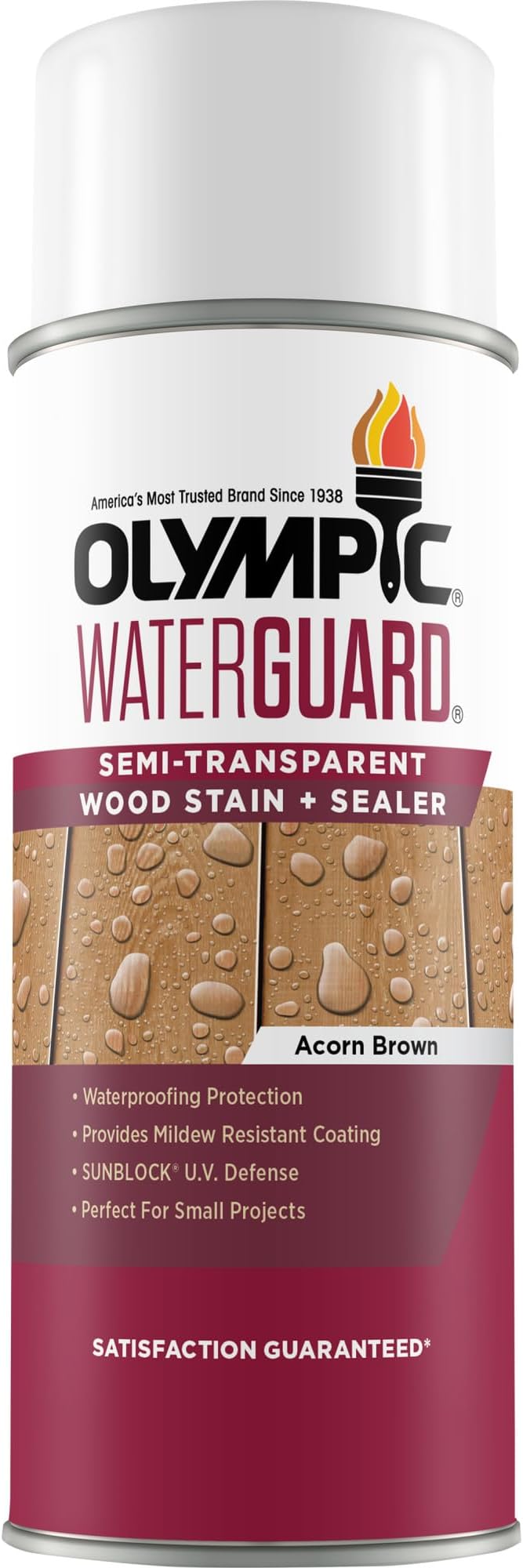 Olympic WaterGuard 11.75 oz. Acorn Brown Semi-Transparent Exterior Wood Stain Plus Sealer (Pack of 2)