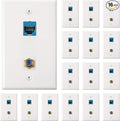 Weewooday 16 Pieces Cat 6 Ethernet Wall Plates, Cat 6 Coax Wall Plate with Ethernet Port and Gold-Plated TV Coax F-Type Port (Blue)