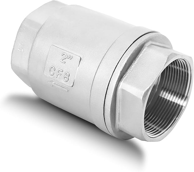 2" NPT Stainless Steel Spring Check Valve, WOG1000 NPT Thread unleaded In-Line Vertical Check Valve Non Return One Way Counterflow to Prevent the Medium Backflow for Oil Water Gas Air DN50