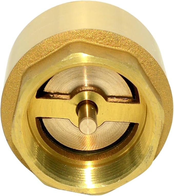 DAN SPEED Brass Check Valve,Female Thread Spring Check Valve,One Way Horizontal Check Valves for Backflow Prevention,Well, Pump, Tank ((DN40) 1-1/2'')