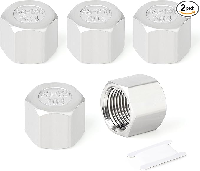 TAISHER 2PCS 304 Stainless Steel Cap Pipe Plug Socket Fitting 3/4" NPT Female