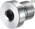 2-Pack Inner Hex Head Pipe Fitting Plug, M12x1mm 304 Stainless Steel Socket Bung Plug with Fluorine Sealing Ring for Terminate Pipe Ends/Replacement Drains