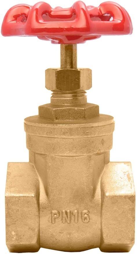 1" Brass Gate Valve - 200WOG, FxF NPT