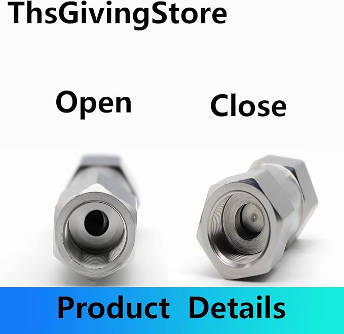 1/8 1/4 3/8 1/2 Inch G Female Thread 304 Stainless Steel Check Valve One Way Non-Return Valve for Water Oil Gas