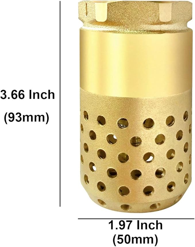 Brass Foot Valve 1-1/4 Inch NPT Heavy Duty Spring Mesh Check Valve Female Connection One Way Backflow Preventer With Holes Strainer Filter for Well Jet Pumps