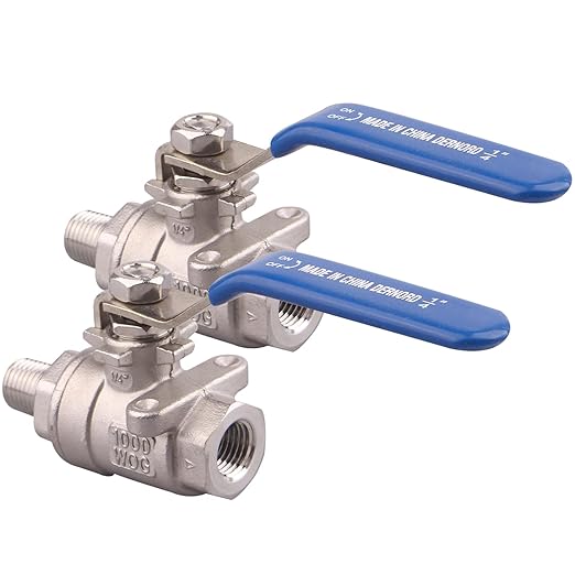 DERNORD 2 Pack Full Port Ball Valve 1/4 Inch - Male x Female Stainless Steel 304 Heavy Duty for Water, Oil, and Gas, 1000WOG