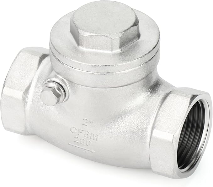 TAISHER 1PCS 304 Stainless Steel 2" Female Swing Check Valve，Backflow Prevention, One Way Check Valve CF8 WOG 1000