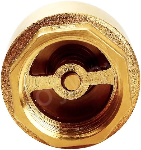 Joywayus Brass Check Valve 1" NPT Thread Female One Way Backflow Preventer Check Valves