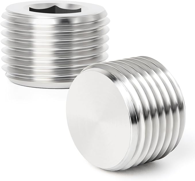 TAISHER 20PCS 304 Stainless Steel Internal Hex Thread Socket Pipe Plug Fitting 3/8" NPT Male