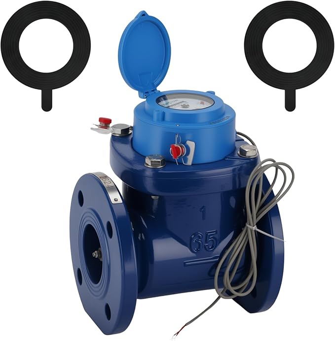 Watflow 2.5" WoltmannHelix Water Meter,Detachable Water Meter,Pulse Output, Epoxy-Coated Cast Iron,Resistant Seals（GAL,Non-Potable Use）