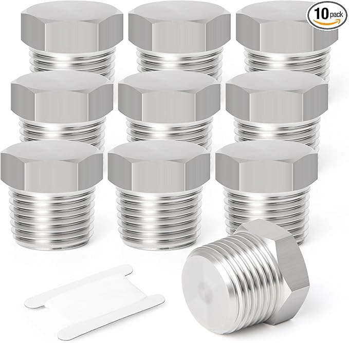 TAISHER 10PCS Stainless Steel Outer Hex Thread Socket Pipe Plug Fitting 1/8" NPT Male