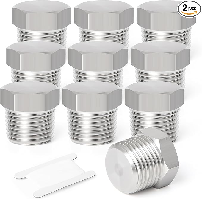 TAISHER 2PCS Stainless Steel Outer Hex Thread Socket Pipe Plug Fitting 3/8" NPT Male