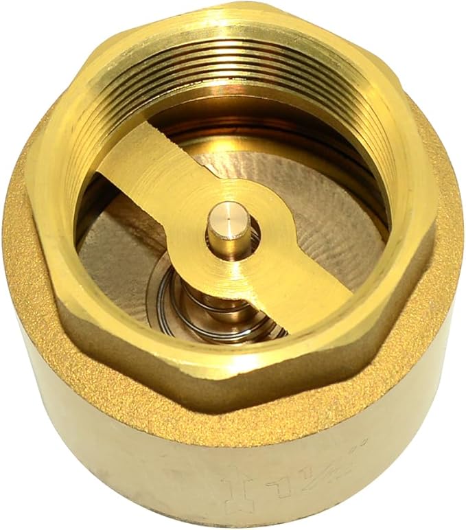 DAN SPEED Brass Check Valve,Female Thread Spring Check Valve,One Way Horizontal Check Valves for Backflow Prevention,Well, Pump, Tank ((DN40) 1-1/2'')