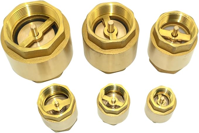 DAN SPEED Brass Check Valve,Female Thread Spring Check Valve,One Way Horizontal Check Valves for Backflow Prevention,Well, Pump, Tank ((DN50) 2'')