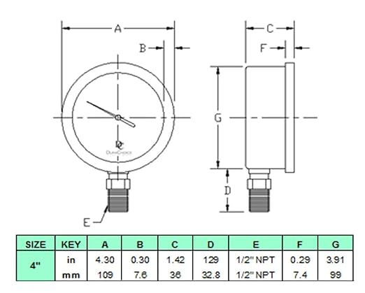 4" Oil Filled Pressure Gauge - Stainless Steel Case, Brass, 1/2" NPT, Lower Mount Connection, 0-1,000PSI