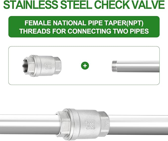 TAISHER 1PCS 304 Stainless Steel 3/4" NPT Female Vertical Check Valve，Backflow Prevention, One Way Spring Check Valves CF8 WOG 1000
