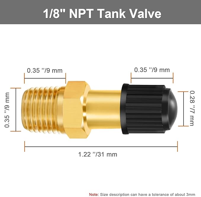 GODESON 1/8" NPT Tank Valve, Anti-Corrosion Brass Schrader Valve with 1/8" Male NPT and Caps, Air valve Using with Air Compressor Tanks (Pack of 2)