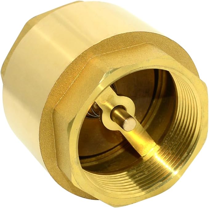 DAN SPEED Brass Check Valve,Female Thread Spring Check Valve,One Way Horizontal Check Valves for Backflow Prevention,Well, Pump, Tank ((DN50) 2'')