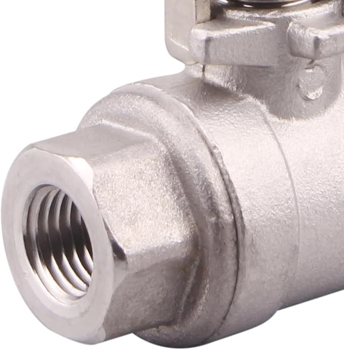 DERNORD 2 Pack Stainless Steel 304 Ball Valve, Full Port Heavy Duty for WOG with Locking Device (1/4" NPT)