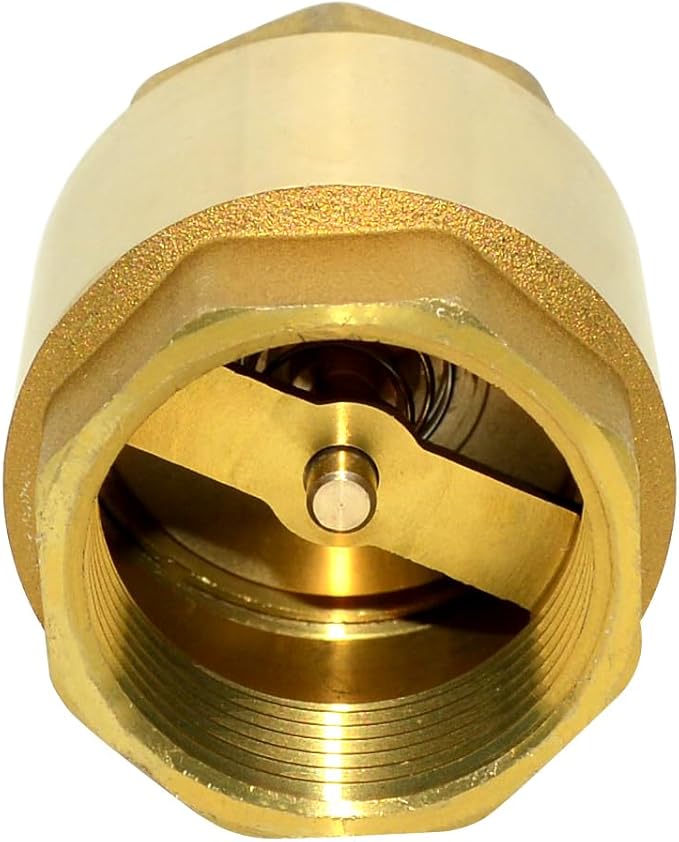 DAN SPEED Brass Check Valve,Female Thread Spring Check Valve,One Way Horizontal Check Valves for Backflow Prevention,Well, Pump, Tank ((DN32) 1-1/4'')
