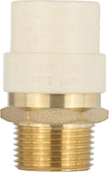 (Pack of 10) EFIELD 3/4"CPVC X 3/4"Male Thread NPT Transition Coupling,Brass Adapter Pipe Fitting (Male NPT x CPVC),(CPVC056-5-10PCS)