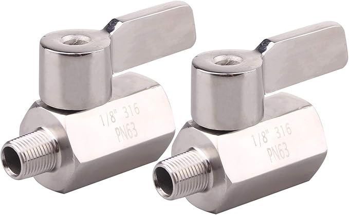 DERNORD 1/8 Inch Stainless Steel Mini Ball Valve NPT FxM Thread with Stainless Handle(Pack of 2)