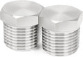 ChillWaves 304 Stainless Steel Pipe Fitting, Outer Hex Head Socket Pipe Plug Fitting，1-1/4" NPT Male，Thread Adapter(2-PACK)