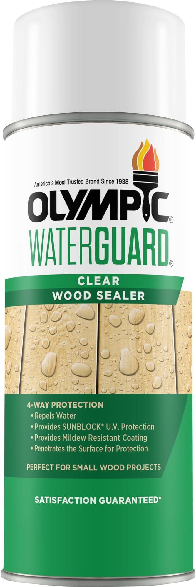 Olympic WaterGuard 11 oz. Clear Exterior Waterproofing Wood Sealer Spray (Pack of 2)