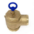 Brass Pressure Relief Valve, 300 CFM, 2" Diameter, Fully Adjustable, Non-Code (1050-0000 RIV)