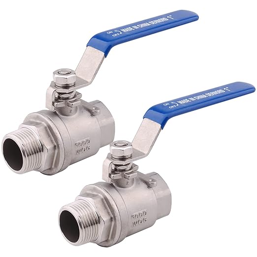DERNORD 2 Pack Full Port Ball Valve 1 Inch - Male x Female Stainless Steel 304 Heavy Duty for Water, Oil, and Gas, 1000WOG