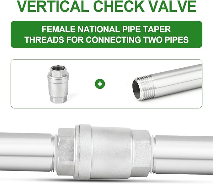 TAISHER 1PCS 304 Stainless Steel 2" Female Vertical Check Valve，Backflow Prevention, One Way Spring Check Valves CF8 WOG 1000