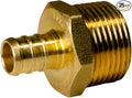XFITTING 1/2" Pex x 3/4" Male NPT Adapter, 24-4-4=25X (25 Packs)
