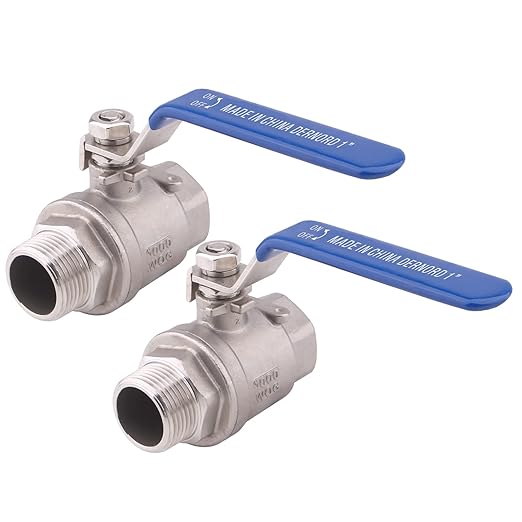 DERNORD 2 Pack Full Port Ball Valve 1 Inch - Male x Female Stainless Steel 304 Heavy Duty for Water, Oil, and Gas, 1000WOG