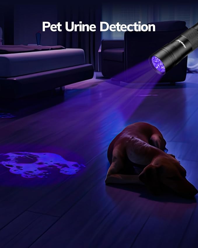 Morpilot Blacklight Flashlights uv Flashlight,12 LED 395nm Ultraviolet Blacklight 2 PCS Black Light Flashlight Mini, Torch Light Pet Urine Detector Light for Dog/Cat, Dry Stains,Resin Curing,Bed Bug