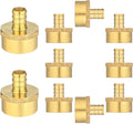 (10 Pack) Lidertik PEX Fittings Female Adapter, 1/2" PEX F1807 to 3/4" NPT Female Threaded Adapter Brass